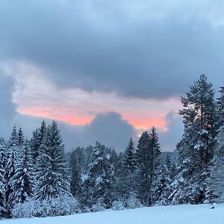 Schwarzwald Wohnung Kniebis ฟรอยเดนชตัดท์ ภายนอก รูปภาพ