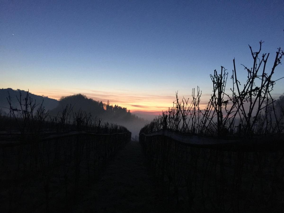 Schwarzwald Wohnung Kniebis ฟรอยเดนชตัดท์ ภายนอก รูปภาพ