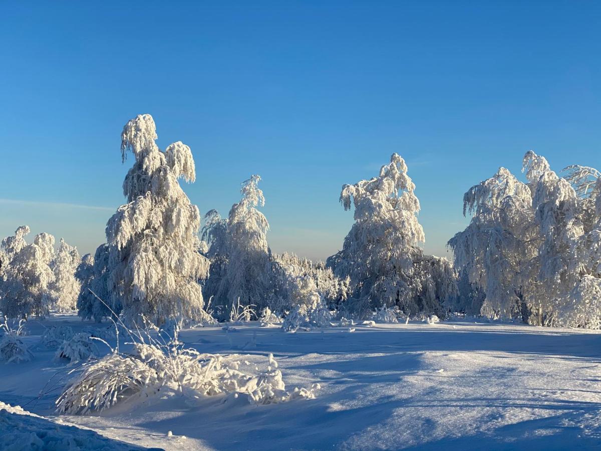 Schwarzwald Wohnung Kniebis ฟรอยเดนชตัดท์ ภายนอก รูปภาพ