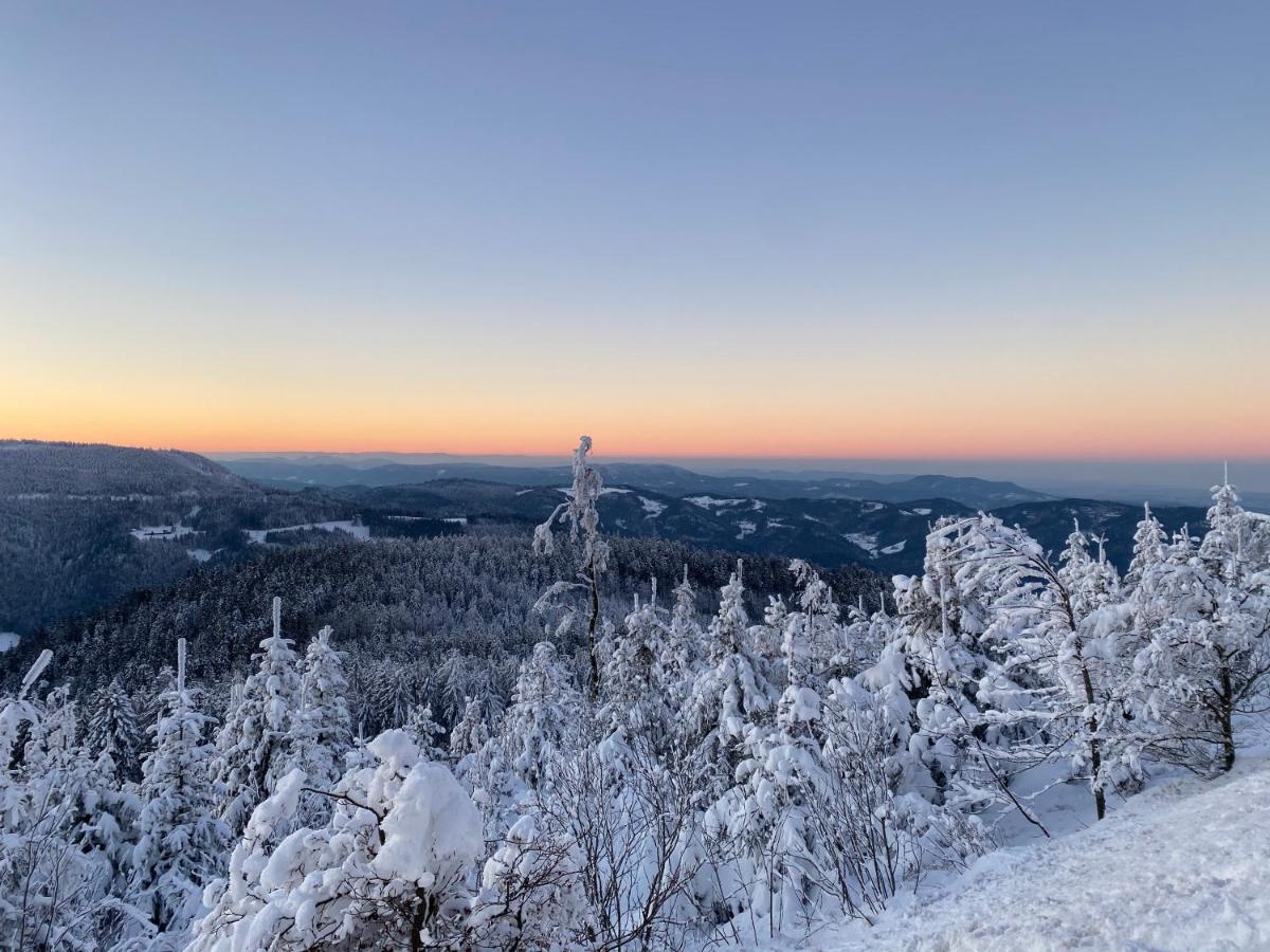 Schwarzwald Wohnung Kniebis ฟรอยเดนชตัดท์ ภายนอก รูปภาพ