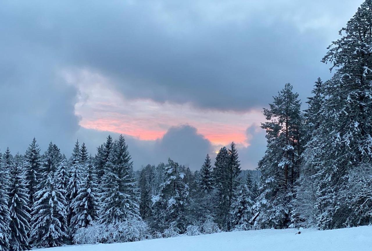 Schwarzwald Wohnung Kniebis ฟรอยเดนชตัดท์ ภายนอก รูปภาพ