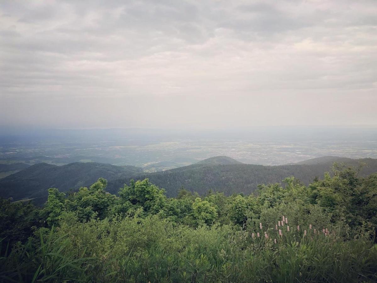 Schwarzwald Wohnung Kniebis ฟรอยเดนชตัดท์ ภายนอก รูปภาพ