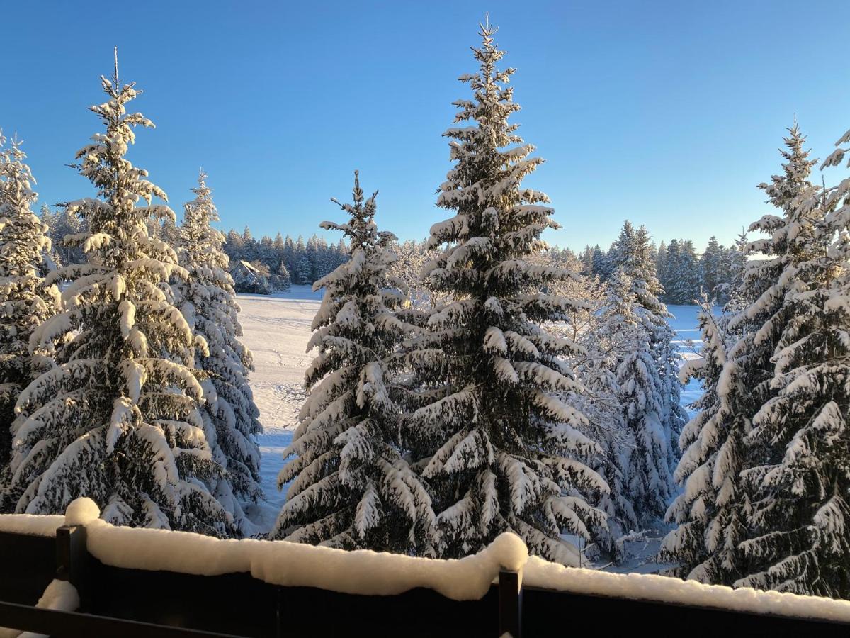 Schwarzwald Wohnung Kniebis ฟรอยเดนชตัดท์ ภายนอก รูปภาพ