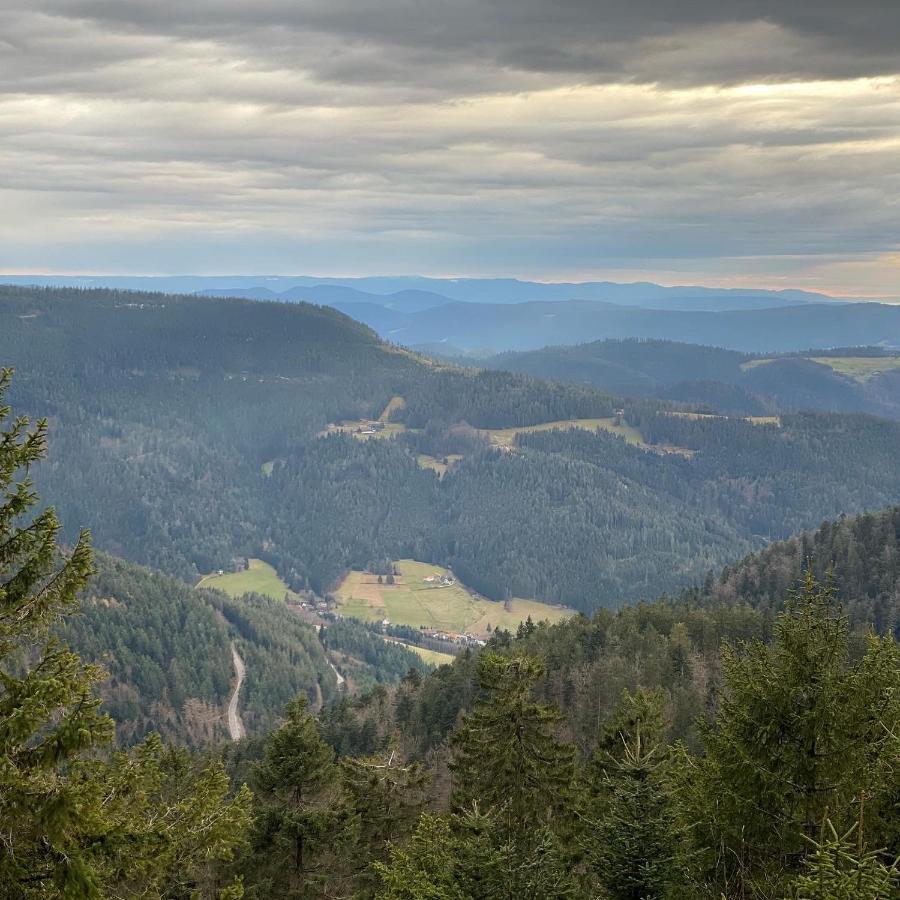 Schwarzwald Wohnung Kniebis ฟรอยเดนชตัดท์ ภายนอก รูปภาพ
